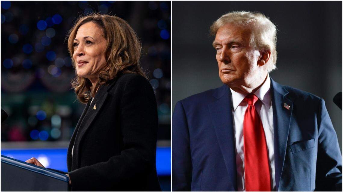 Do Americans have regrets about their votes in the 2024 election? Here’s what a new poll found.