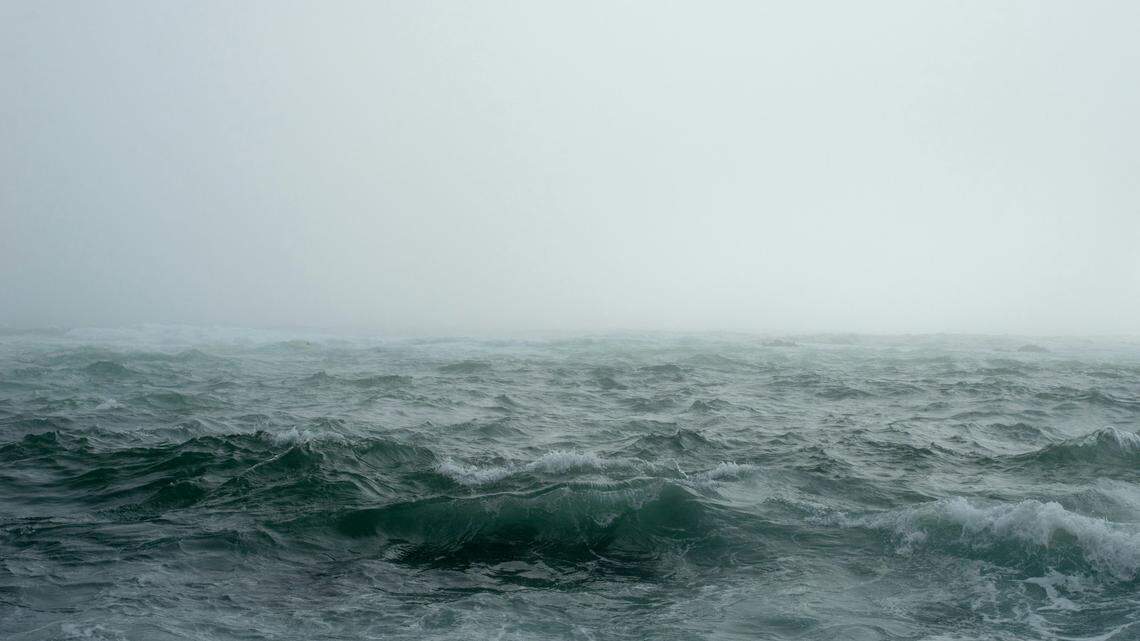 Some whale species evade killer whales by singing at deep frequencies that are “completely undetectable” to the predators, according to a new study.