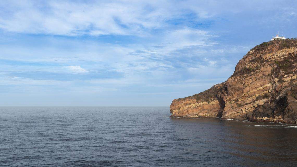 A group of divers attempted to free an entangled humpback whale off the coast of Mexico, video shows. A shark was also attached to the entanglement.