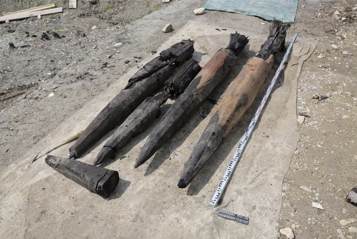 Oak post tips recovered from layers of sediment