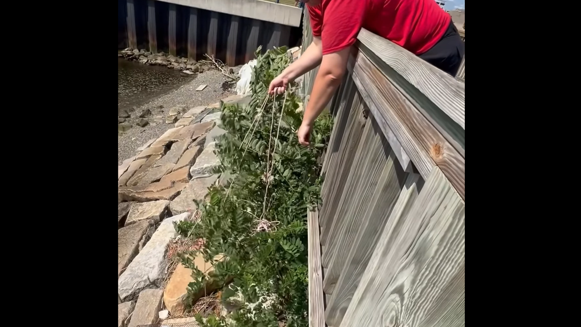 A couple walking along a boardwalk heard crying and realized it was coming from the steep embankment below.
