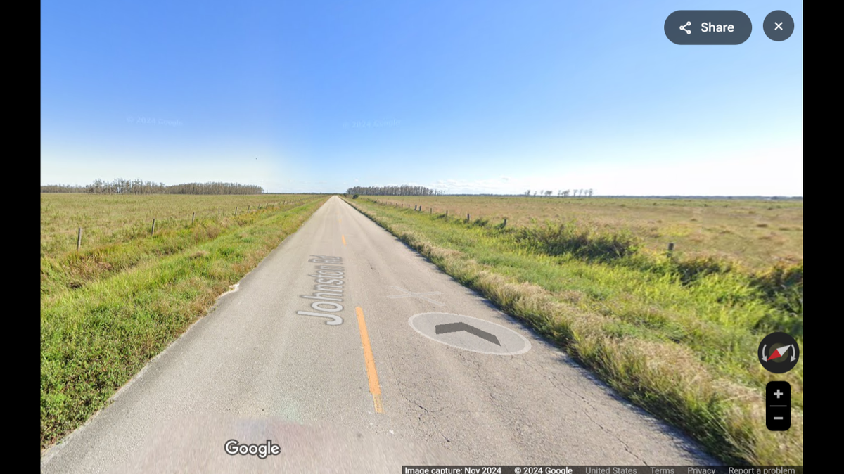 A male Florida panther was found dead from a suspected vehicle strike in Hardee County in Florida’s Heartland region.