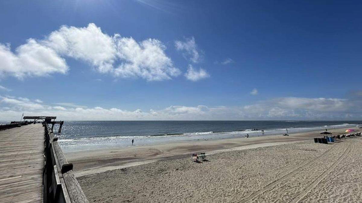 An 8- to 10-foot alligator was spotted at a Tybee Island beach in north Georgia.