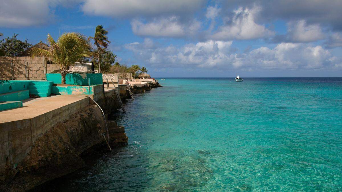 A “rare” whale was recently spotted off the coast of Bonaire in the Caribbean Sea, video shows.