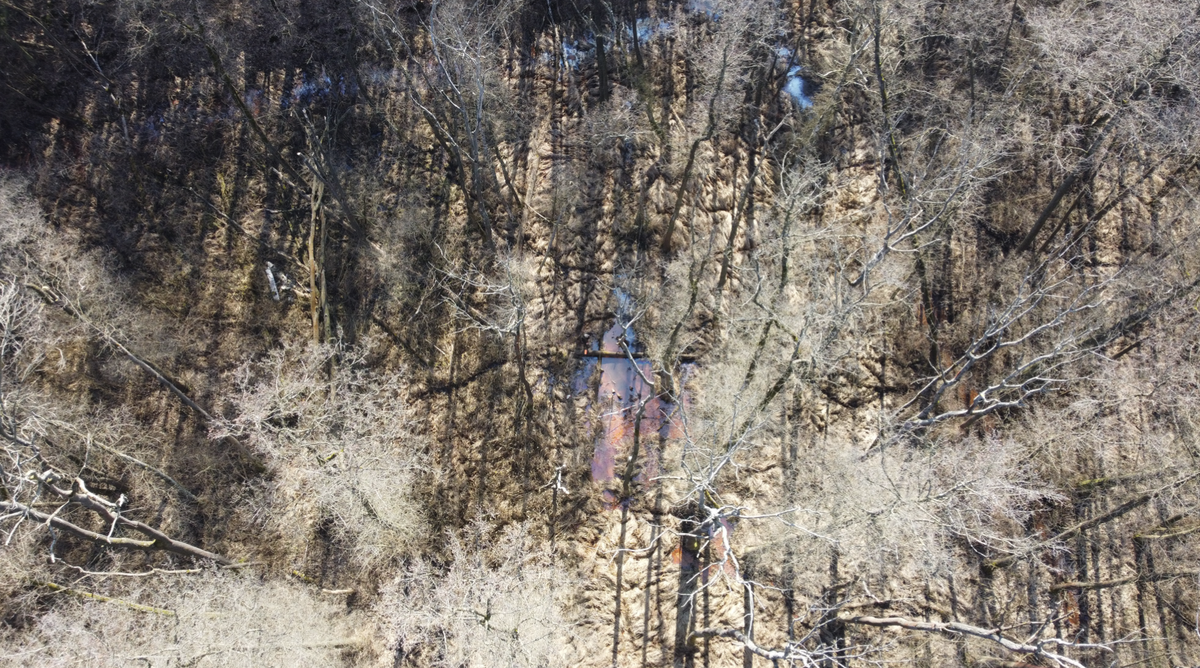 Aerial view of the bog site