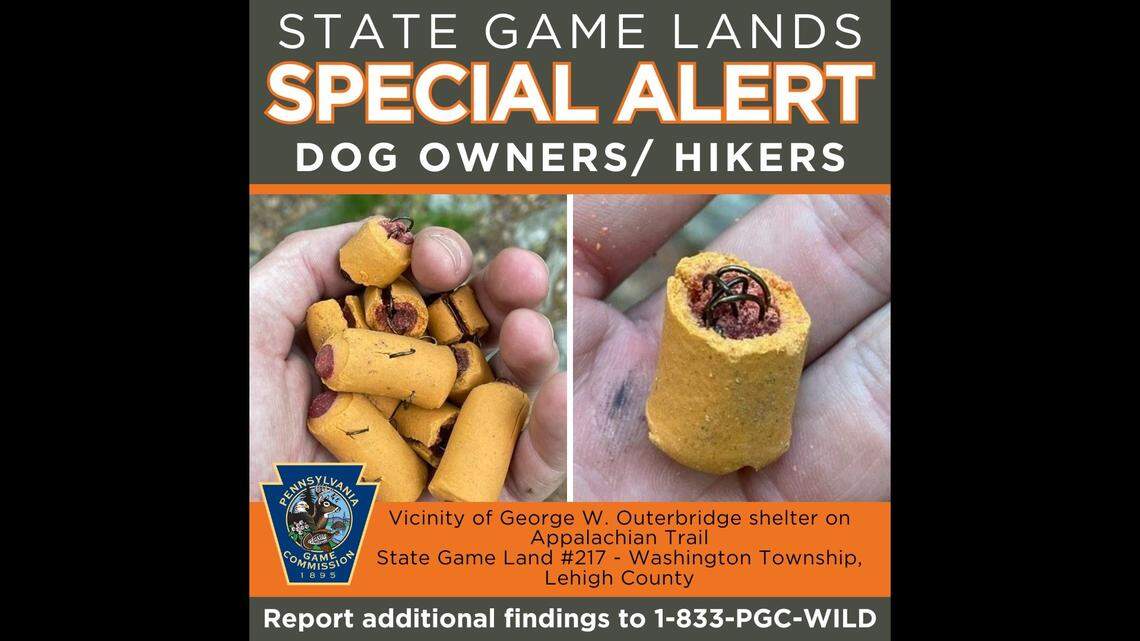A hiker found the treats near the George W. Outerbridge shelter along the Appalachian Trial, the Pennsylvania Game Commission said.