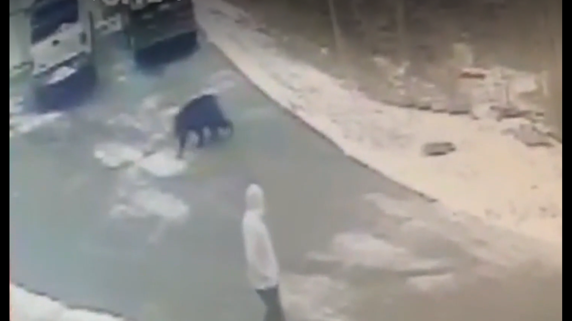 A black bear attacked a man in Jim Thorpe, Pennsylvania, but a neighbor armed with a gun intervened, police say.