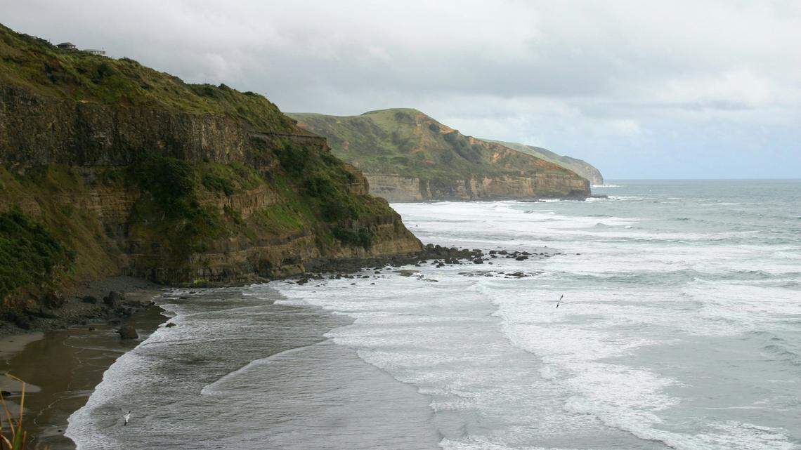 A rare strapped-tooth whale died after attempting to strand on the coast of New Zealand, according to conservation officials.