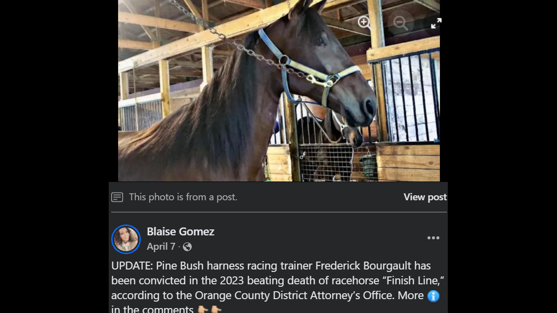 A 27-year-old harness racing trainer was convicted of criminal mischief charges and sentenced to two to six years in prison, prosecutors said.