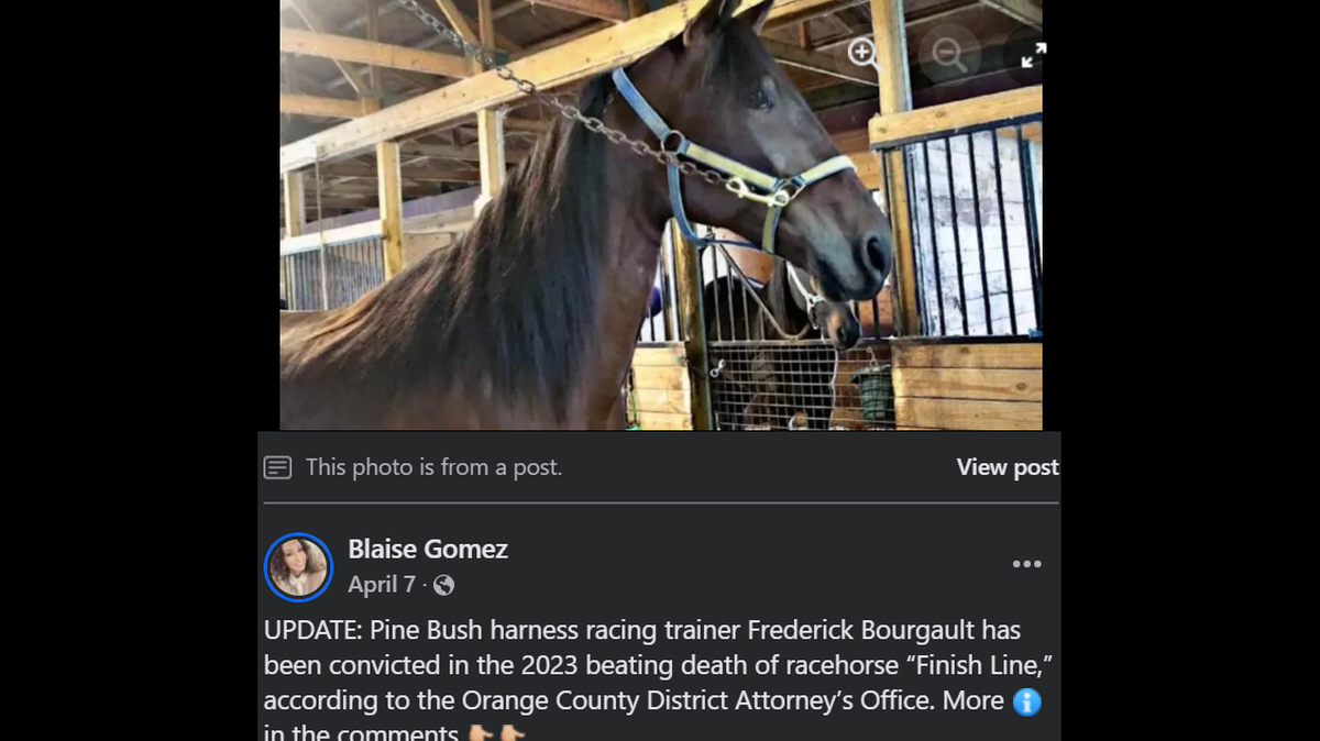 A 27-year-old harness racing trainer was convicted of criminal mischief charges and sentenced to two to six years in prison, prosecutors said.