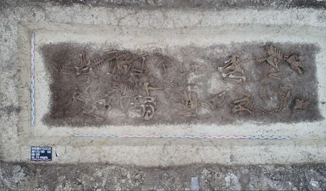 One of the burial pits filled with animal skeletons
