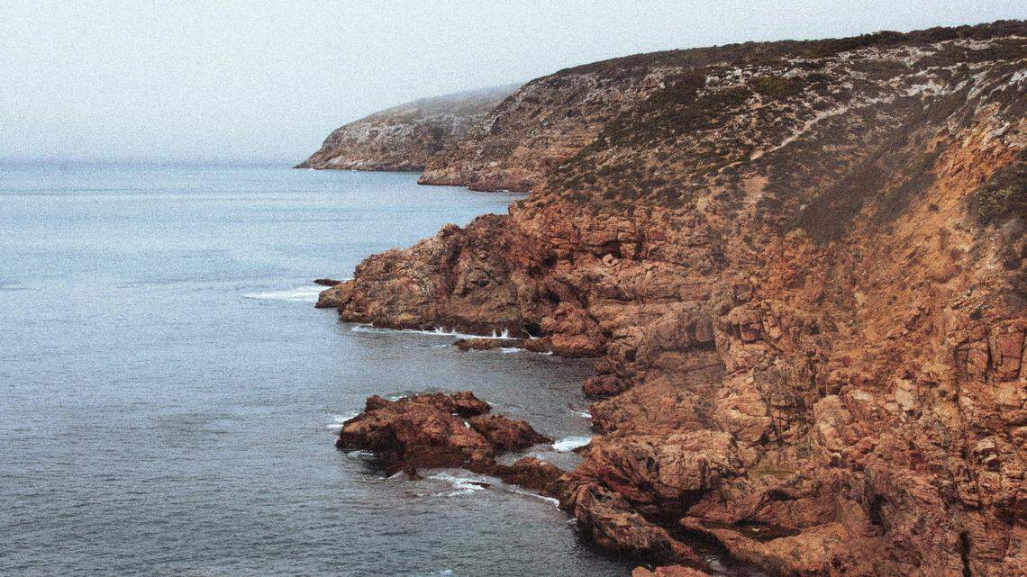 A dolphin calf wrapped “head to tail” in fishing line was rescued off the coast of Australia, video footage shows.