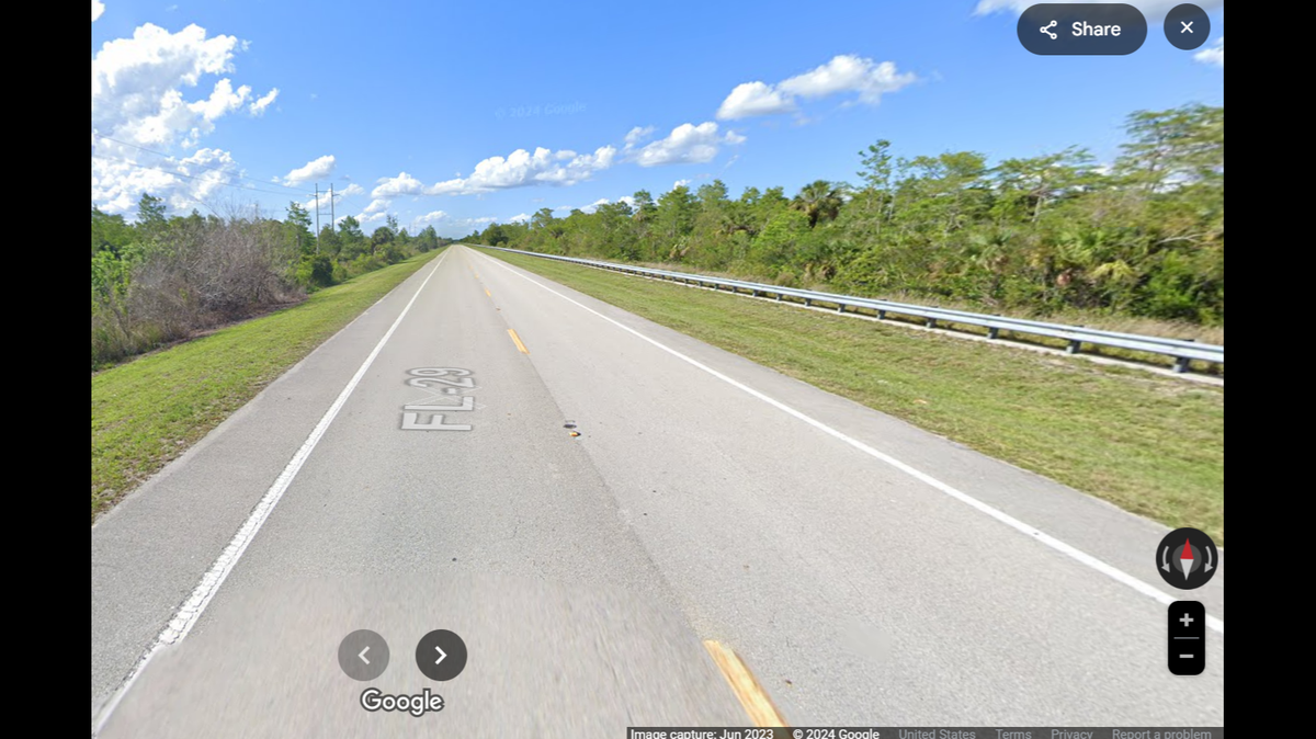 A 3½-year-old male Florida panther was found dead from a suspected vehicle strike in a rural area near Naples on Nov. 22, according to the Florida Fish and Wildlife Conservation Commission.