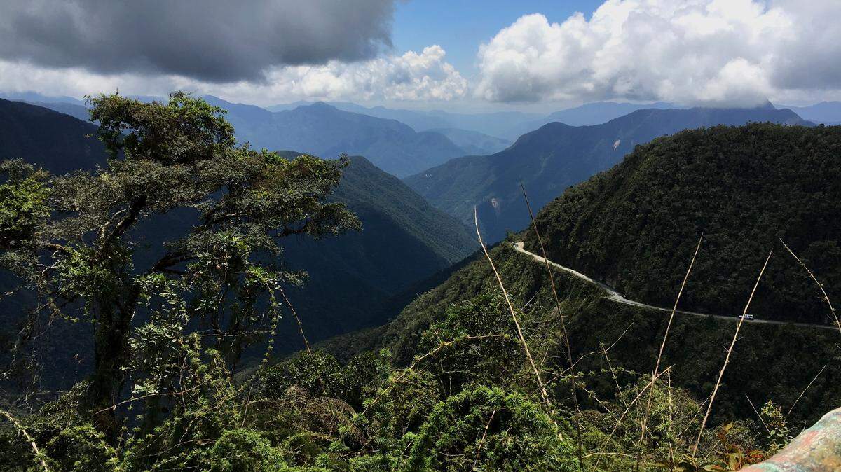 A new species of frog was recently discovered in the Bolivian rain forest, researchers said.