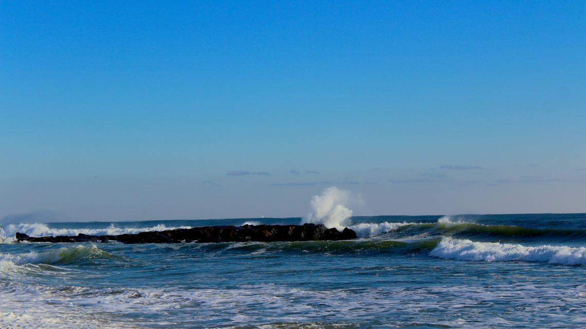 Huge sea creature makes rare appearance off New Jersey coast, photos show.