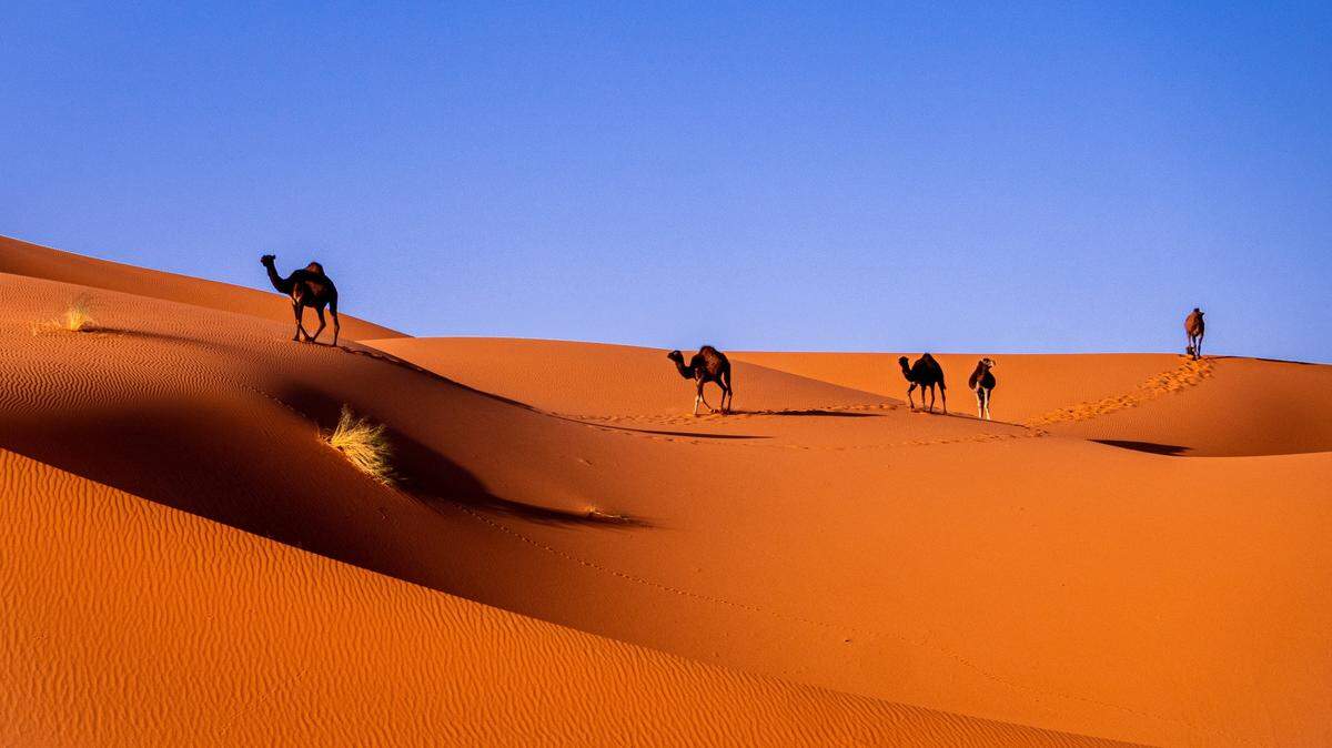 The Garamantian Empire survived in the extreme conditions of the Sahara Desert for hundreds of years using a unique tunnel system for moving water, according to new research.
