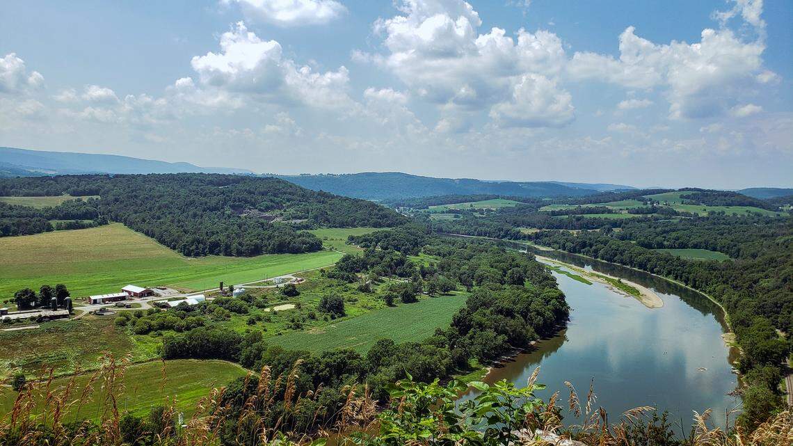 Two species of “predatory” fireflies were recently discovered in Pennsylvania, according to a new study.