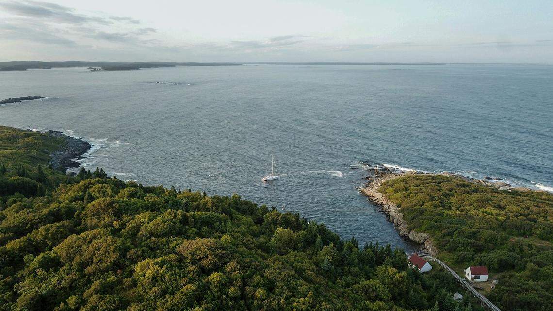 Over 75 extremely rare sea creatures — about “20% of the entire population” — were spotted off the coast of Maine, photos show.