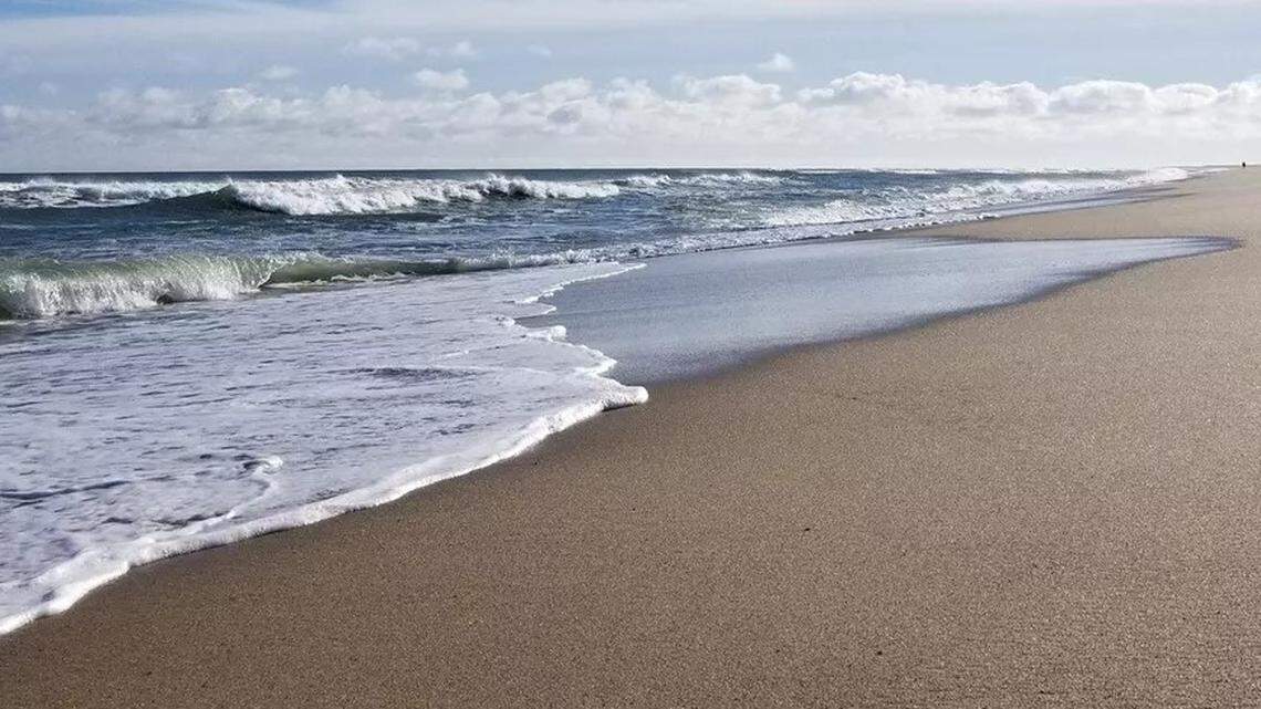 Usually spotted in more tropical climates, this pink bird is causing a lot of ruckus in the Northeast.