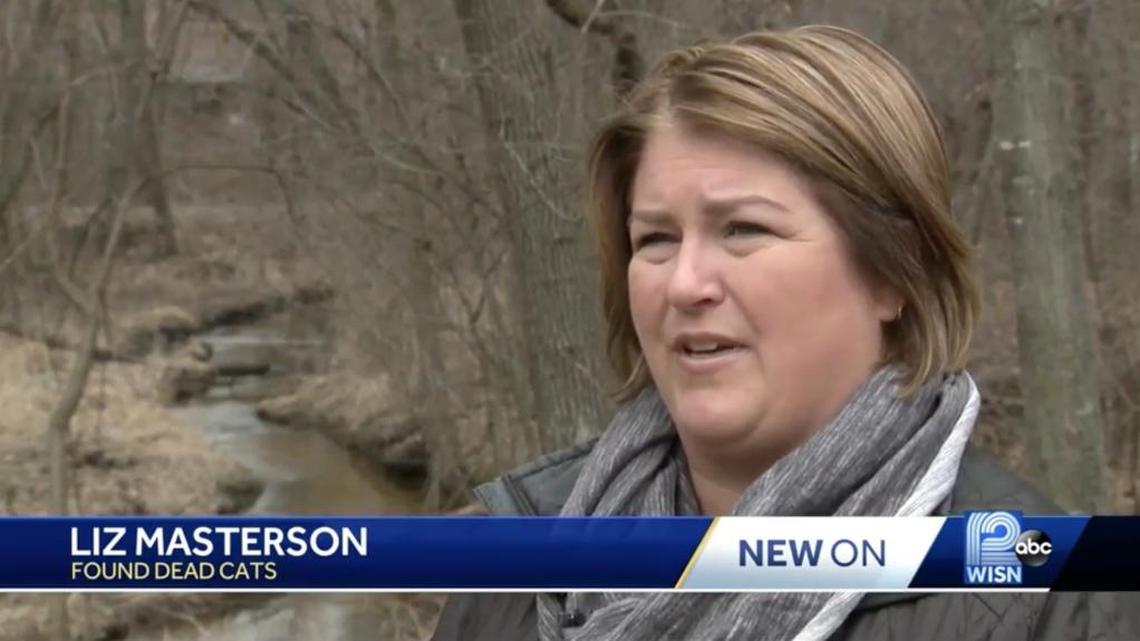 A Wisconsin man faces felony charges after police say he trapped nine house cats and tossed their dead bodies onto a woman’s land.