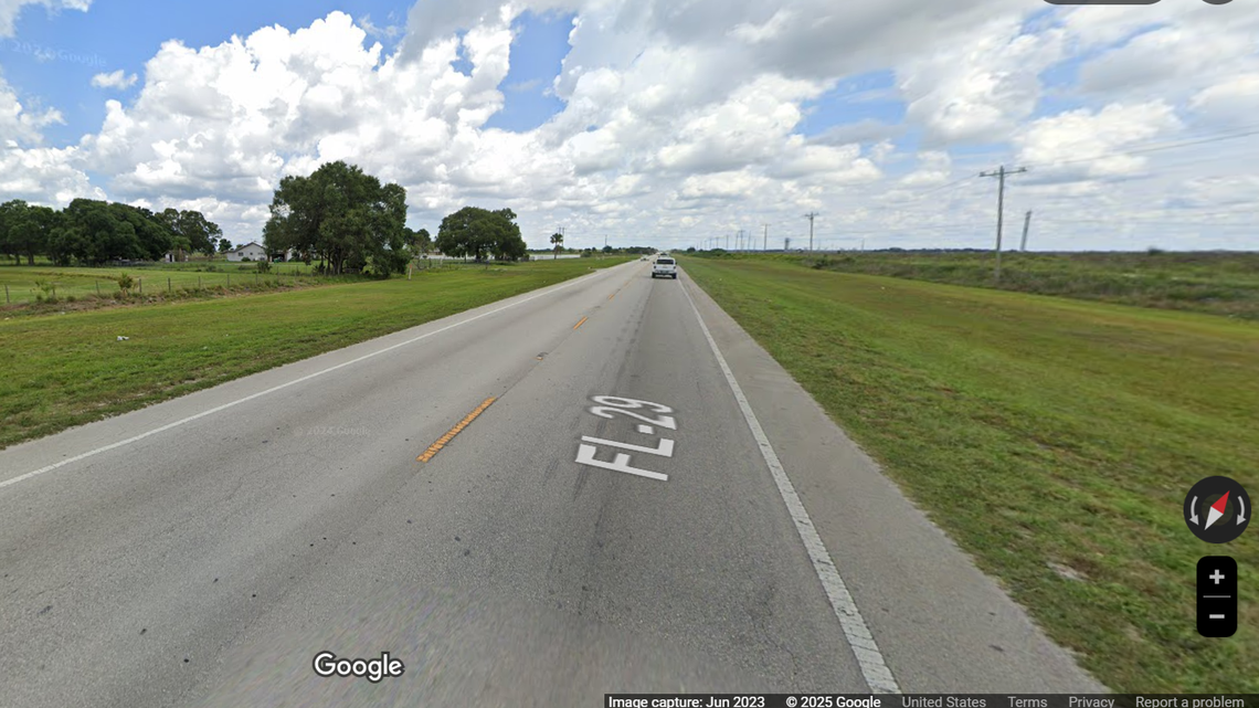 A juvenile Florida panther was found dead in southwest Florida on May 1, according to wildlife officials.