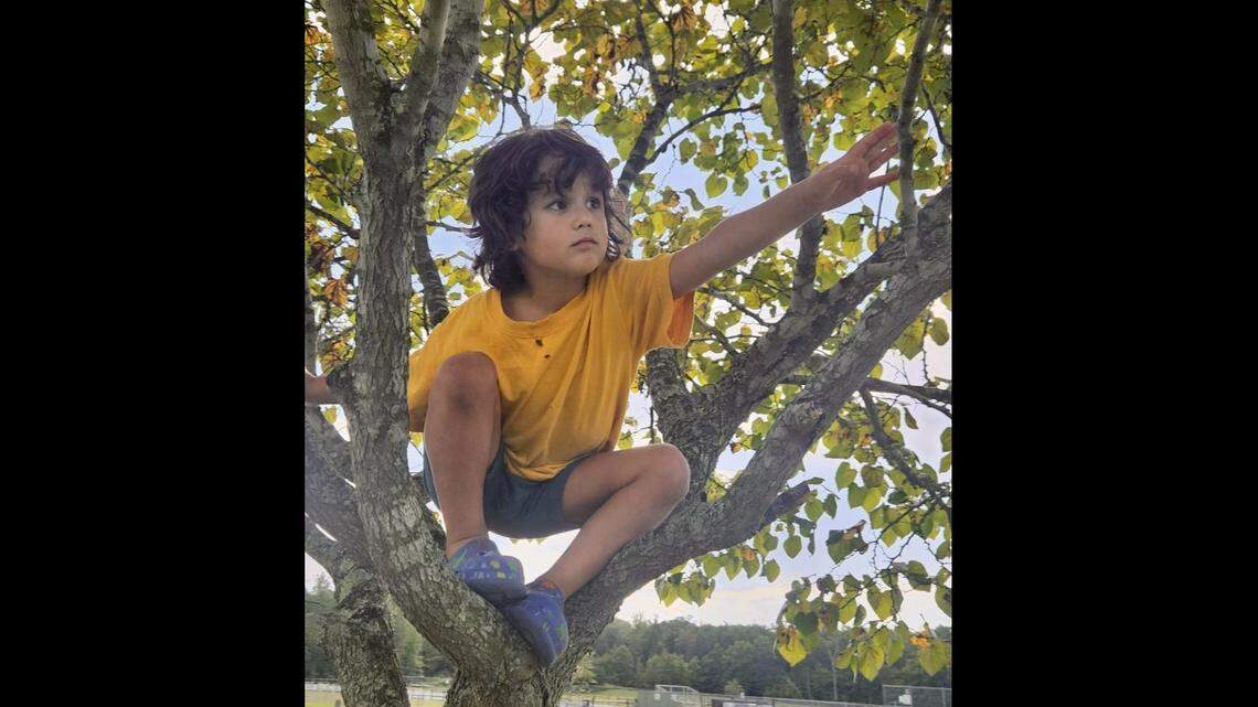 Five-year-old Miles McMahon wandered away from his home and was later found dead in a pond, officials said.