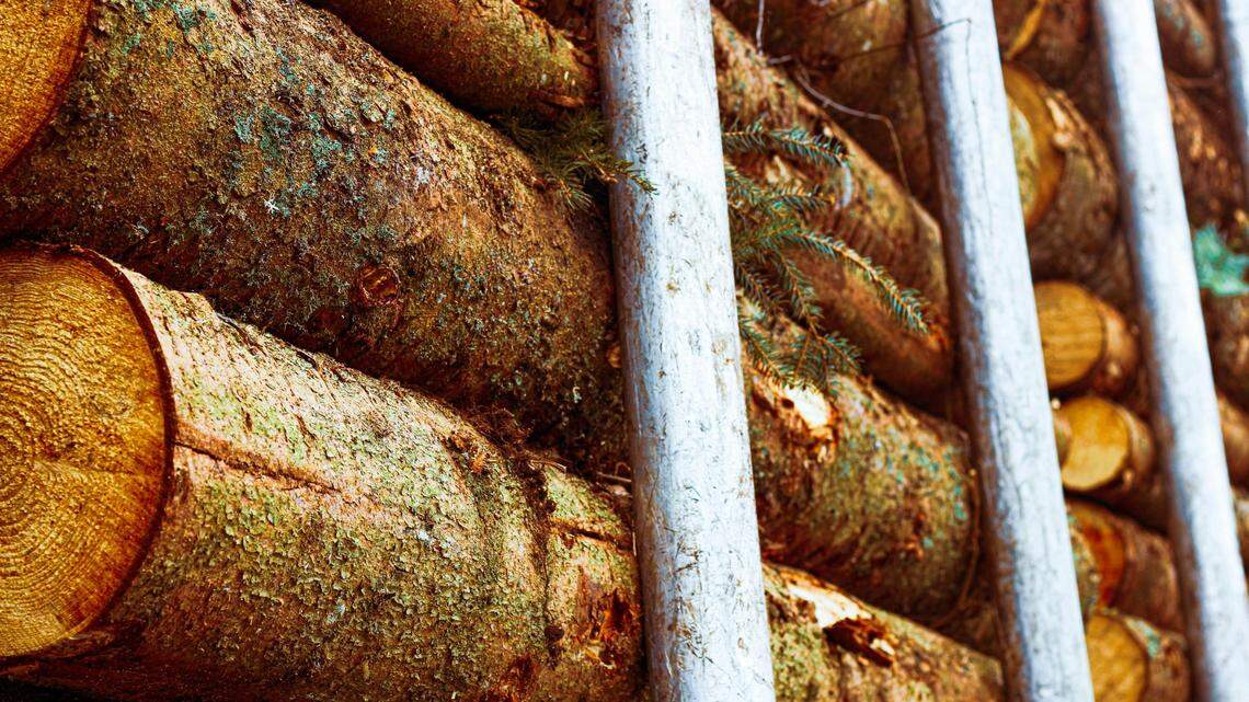 The company that hired a log truck driver accused of causing severe injuries in a pile-up crash now owes $141 million after a four-year litigation process in north Florida.