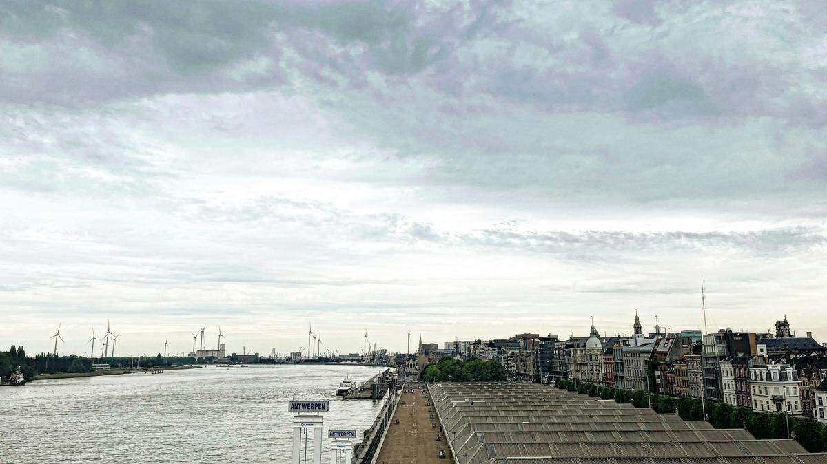 A rare dolphin was discovered stranded on a riverbank near Antwerp, Belgium, officials said, labeling it an “exceptional find.”