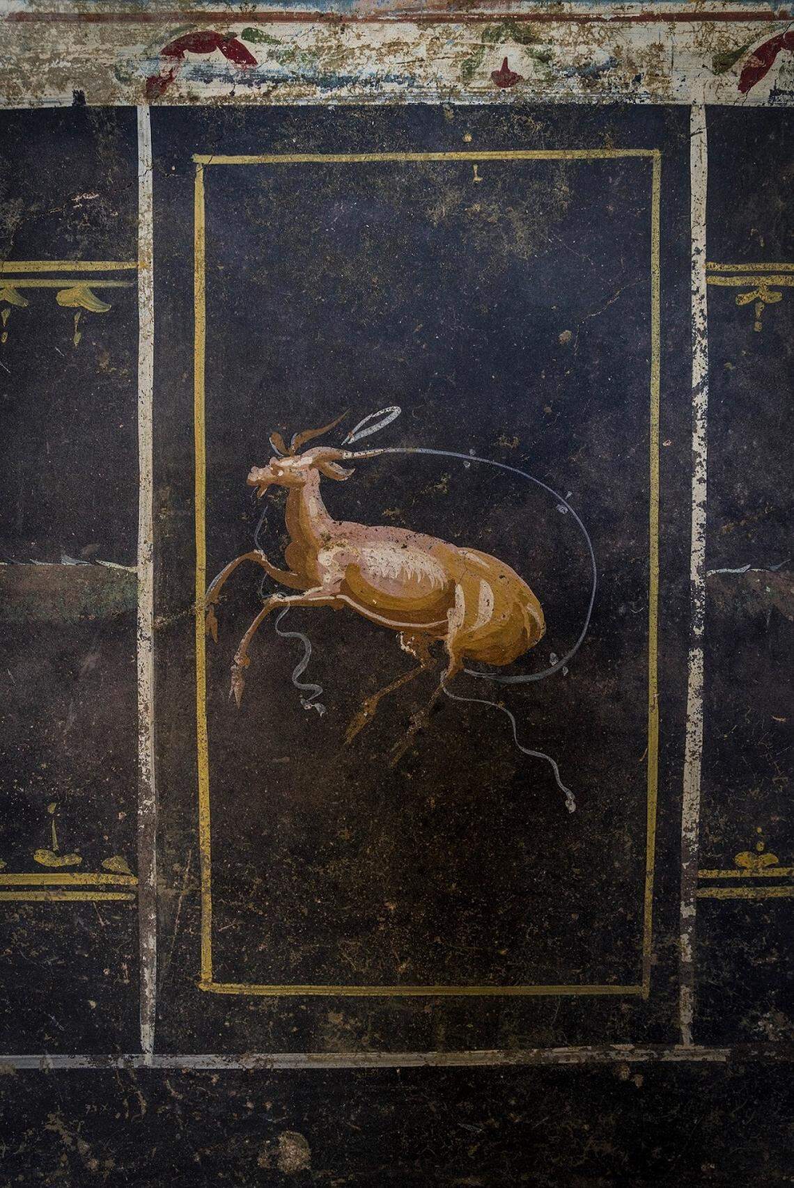 Painting of an animal