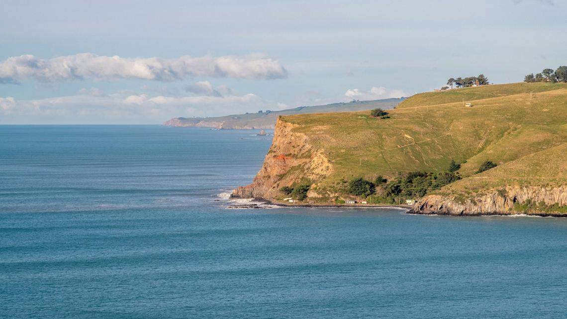 An entangled humpback whale was rescued by conservation officials and anglers off the coast of New Zealand.