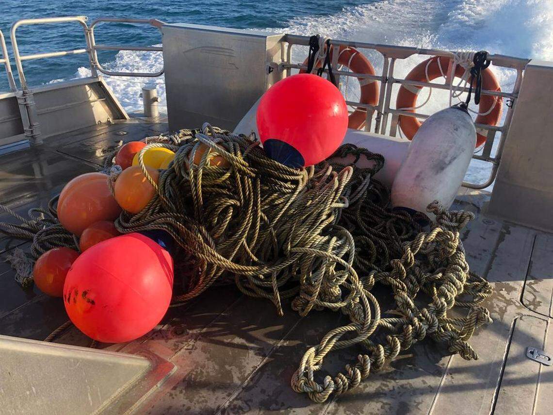 Buoys and rope pulled off of the whale