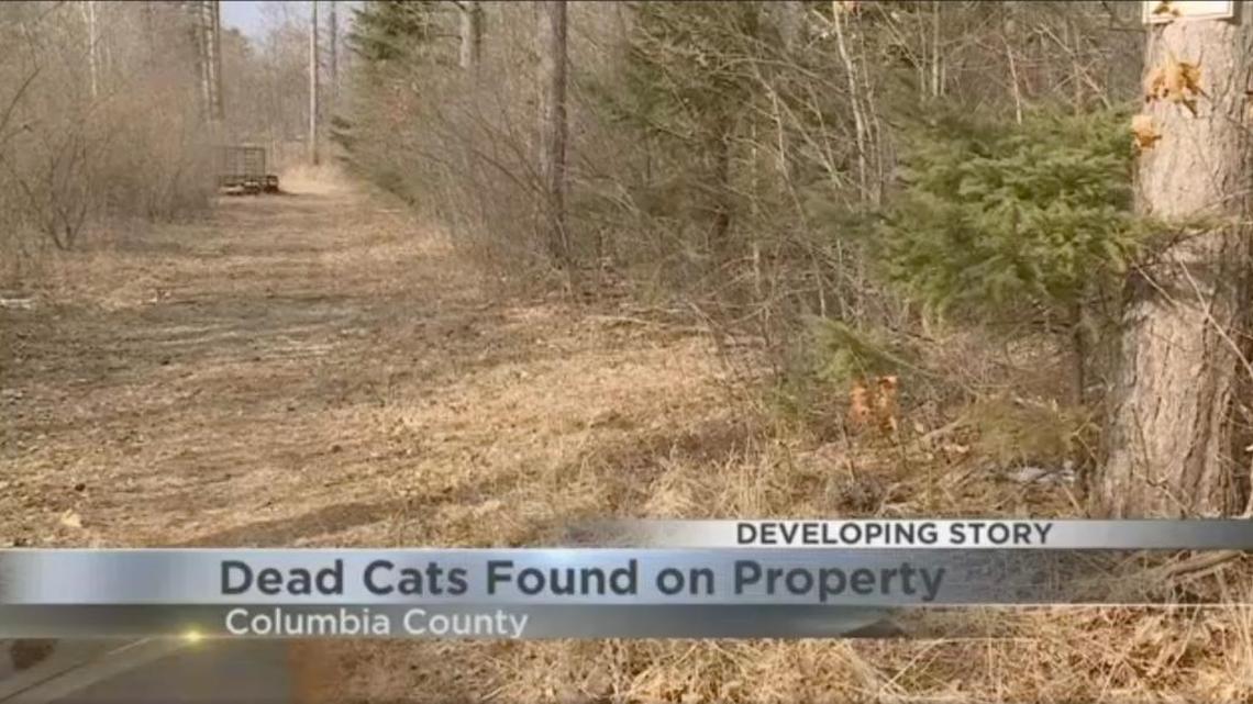 A Wisconsin man has been summoned to court on cat-napping and disorderly charges after police say he stole others’ pets and threw nine dead cats on a woman’s yard.