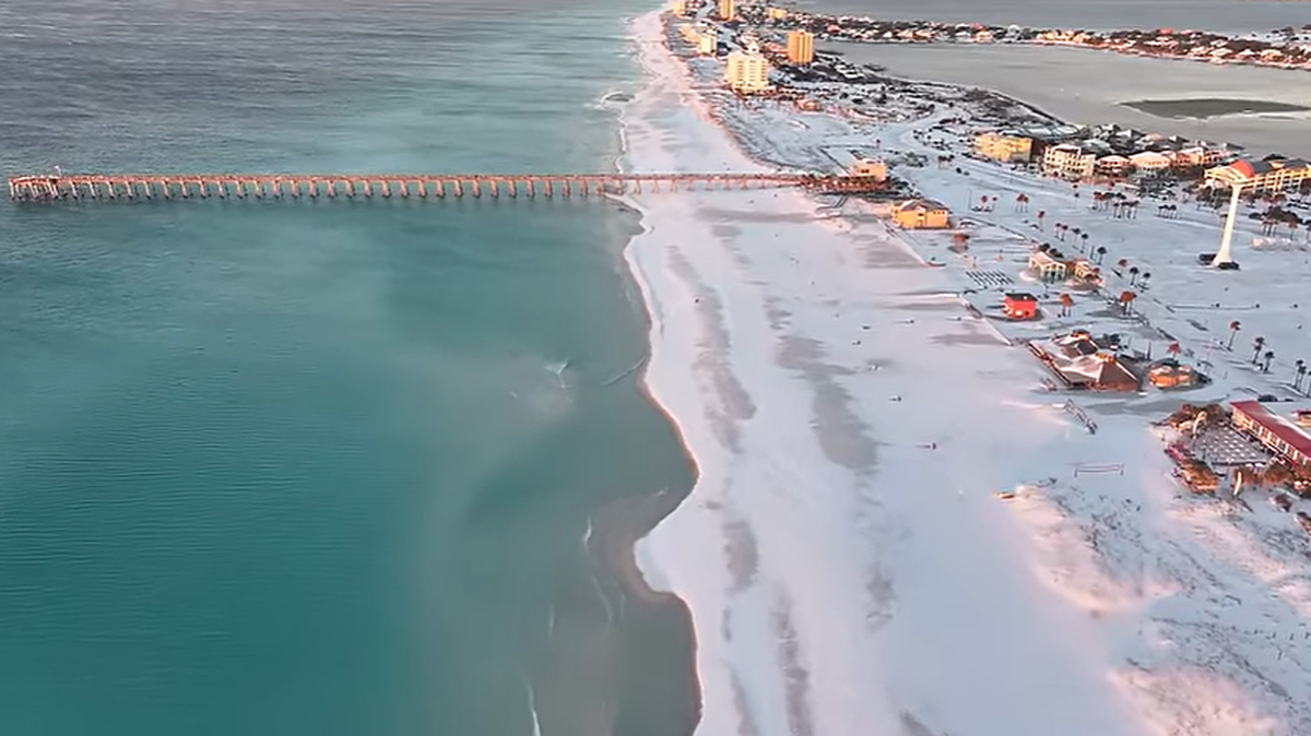 Pensacola Beach and other parts of the Florida Panhandle were blanketed in snow during a recent storm that cold-stunned some sea turtles, prompting rescues.