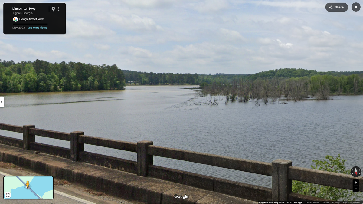 Scientists caught an apex predator with gold scales in rivers of Georgia and South Carolina and discovered a new species, a study said.