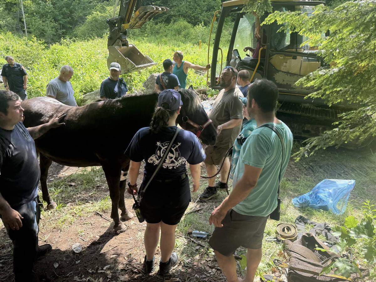 The horse was uninjured, Maine rescuers said.