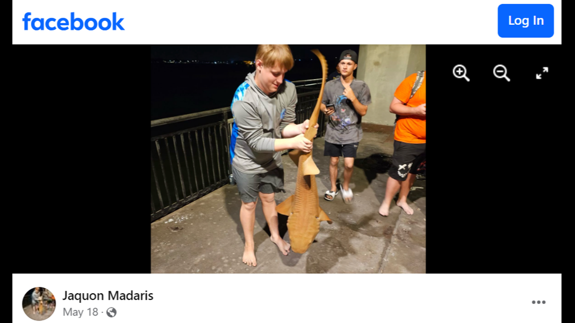 A 16-year-old with a passion for fishing died while trying to cross the water under a bridge with friends, Florida authorities said.