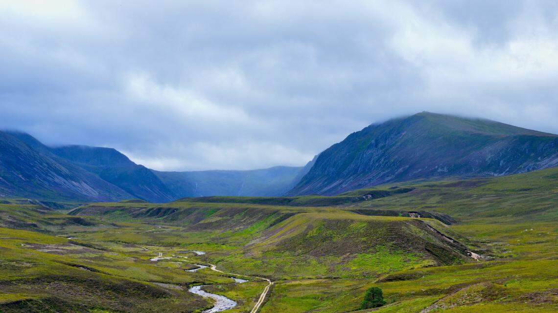 Two “rare” species of dragonflies were recently spotted in Scotland in “a really special moment,” officials said.