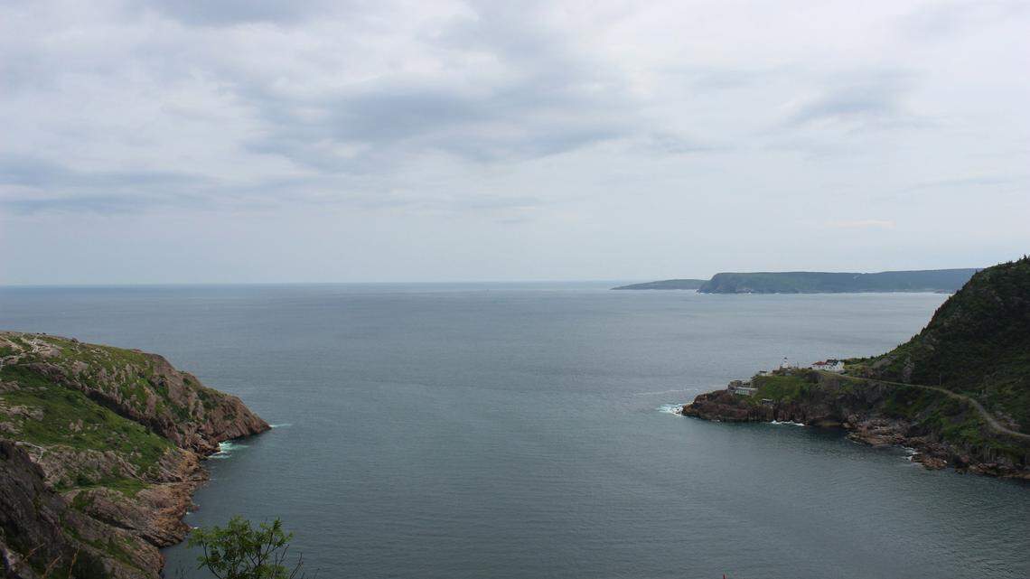 A humpback whale was seen using an “unusual hunting technique” off the coast of Canada, according to a nonprofit.