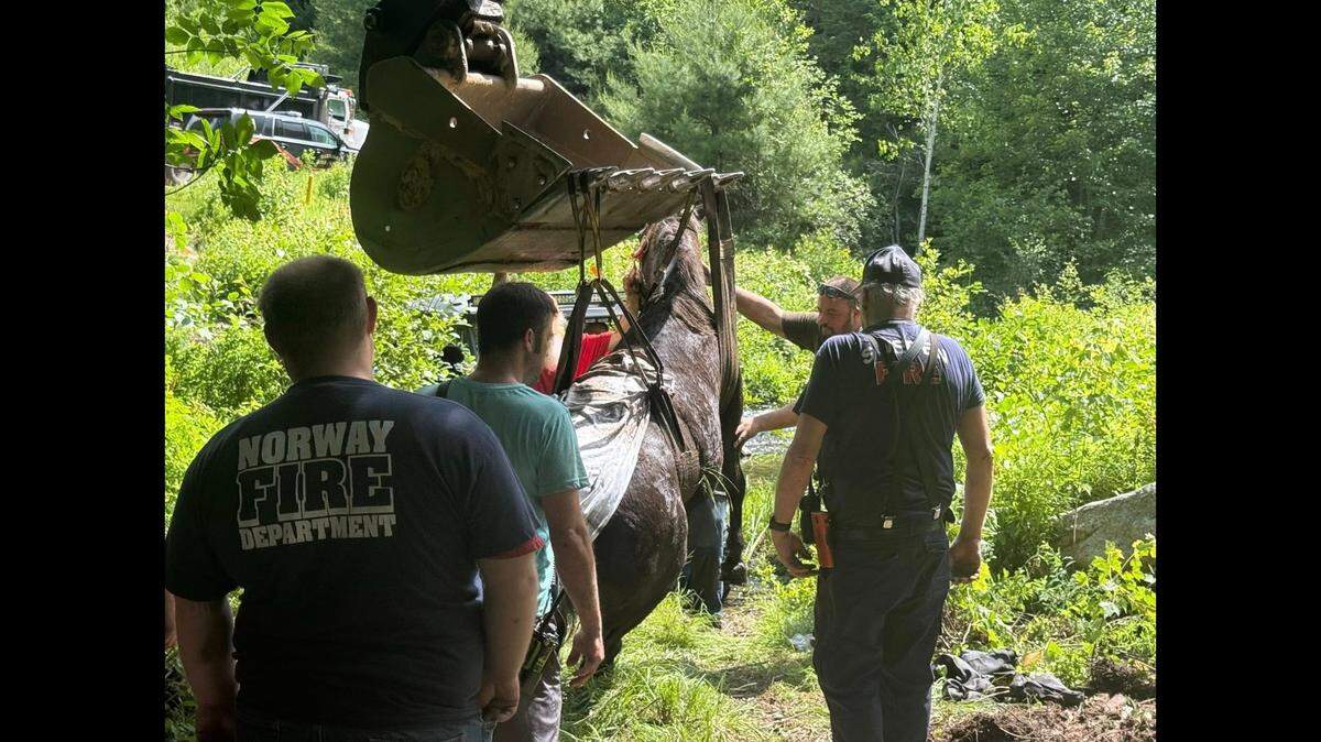 A horse was rescued from a mudhole in Maine, officials said.