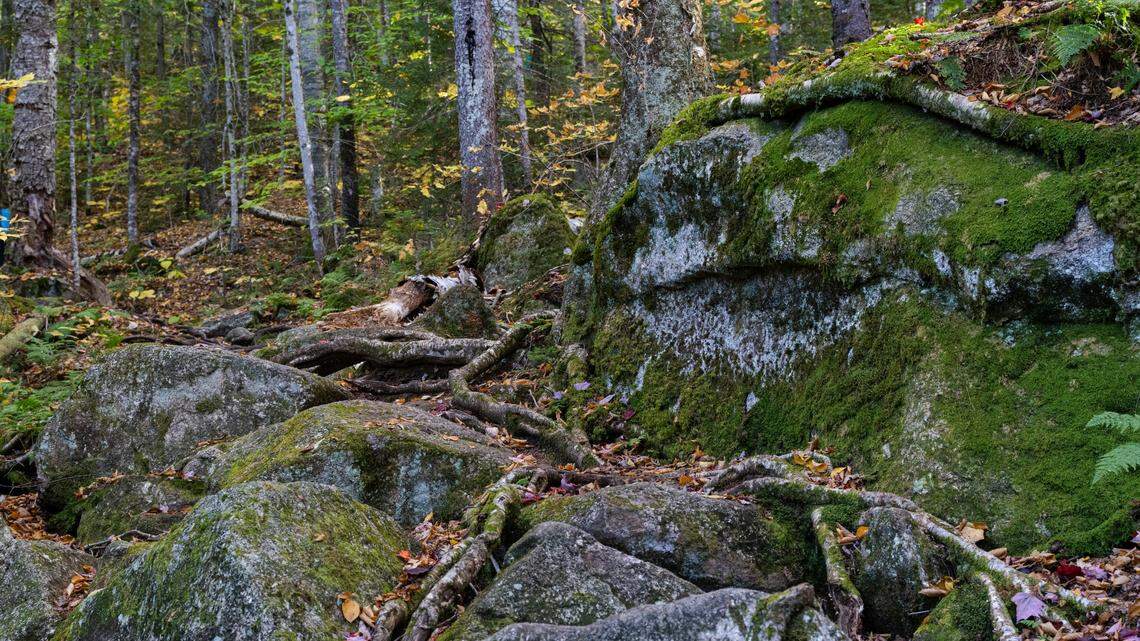 The man was sharing his location with his wife via his ZOLEO device. Then, at 4:43 pm, the updates dropped off.