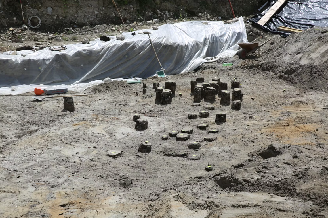Closely spaced oak posts from the bridge