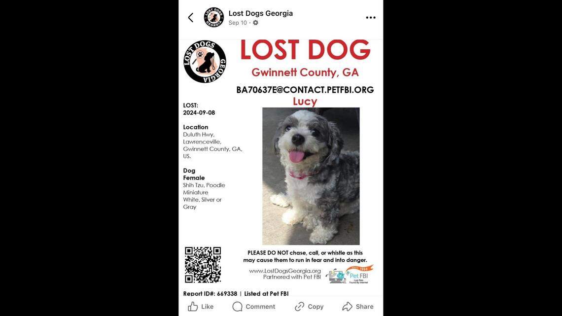 Two women are wanted after they’re accused of posing as a lost dog’s owner and stealing the pet, Georgia police say.