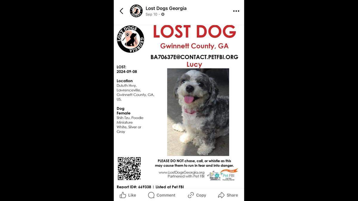Two women are wanted after they’re accused of posing as a lost dog’s owner and stealing the pet, Georgia police say.