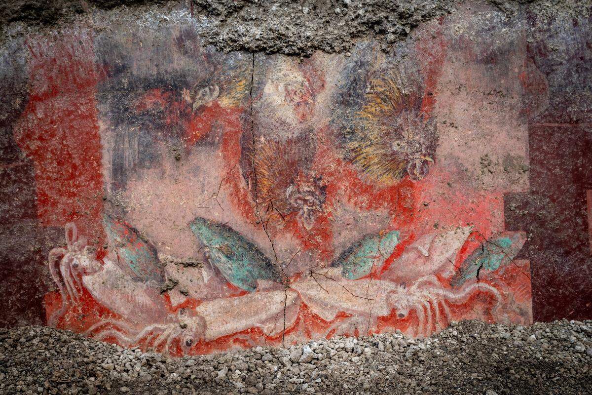Images of squid, fish and roosters can be seen on this wall.