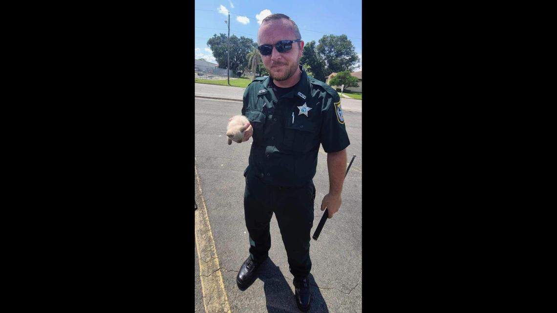 Deputy Ryan Abbott took home a kitten he and his partner rescued from a car’s engine compartment outside a Florida courthouse on Sept. 18.