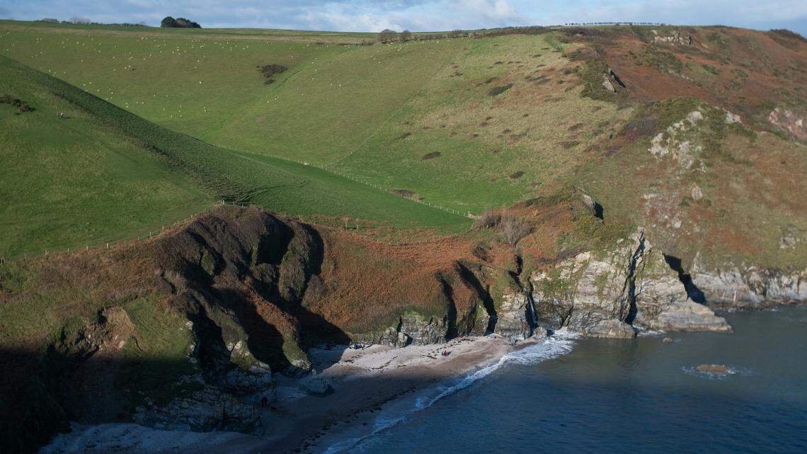 A “very rare” pygmy sperm whale recently washed ashore in Devon, England, according to a local wildlife charity.
