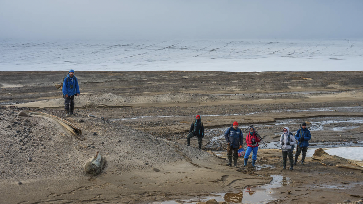 A large mass of ancient whale bones was recently discovered by researchers in the Arctic, photos show.