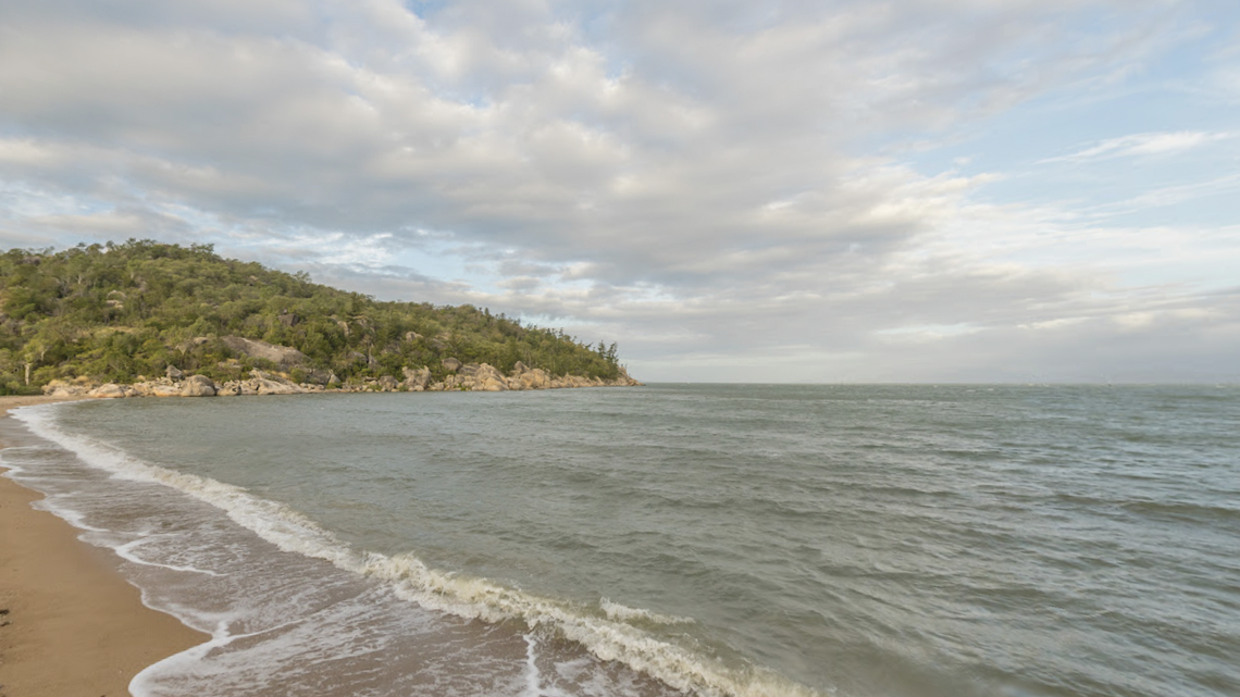 An “extremely rare” Australian snubfin dolphin was spotted off of Australia’s Magnetic Island, video footage shows.