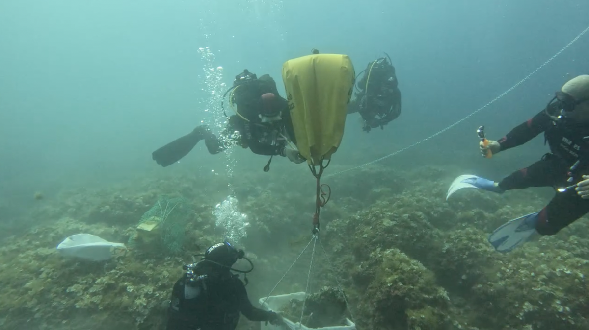 Divers recovered a fragment of a Roman era statue, representing a male torso, off the coast of Italy, video footage shows.