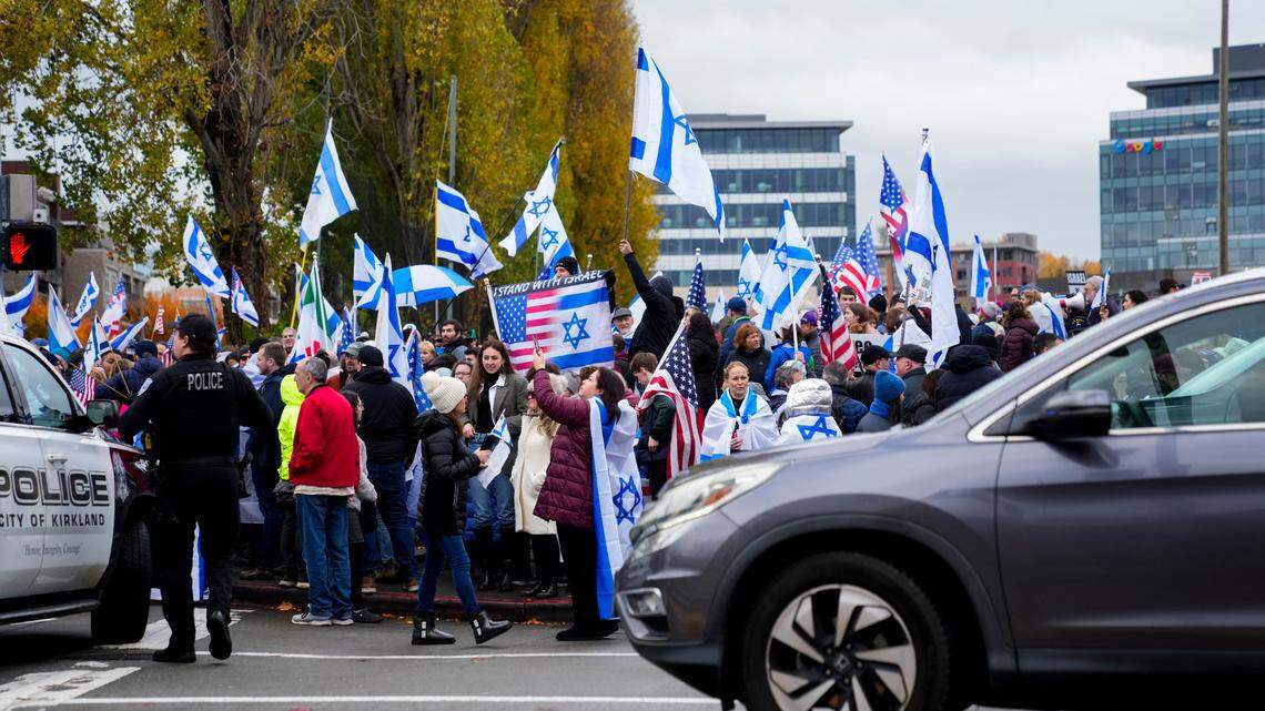 There is a large generational divide in the U.S. over Israel. Academics, activists and public opinion experts examine what factors could be at play. (AP Photo/Lindsey Wasson)
